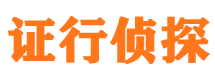 恒山市私家侦探